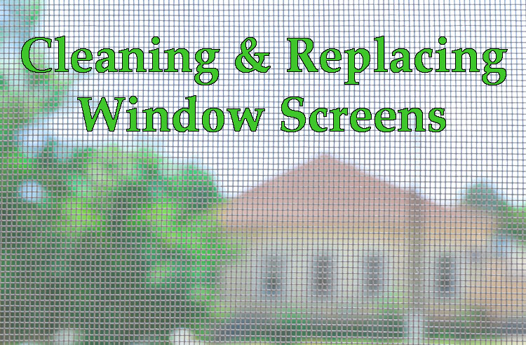 Window Screens Cleaning & Repair